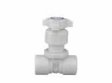 (image for) Ryan Herco 5254-003 3/8" PVC Globe Straight Pattern Needle Valve (K-5254-003)