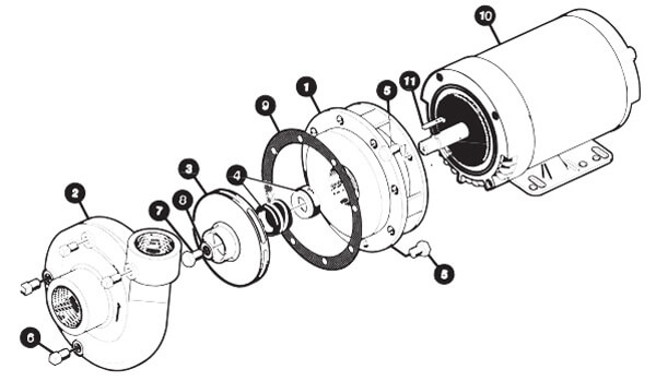 (image for) Ace 31040 Gasket for 5AC-10 Volute for ACR Pumps